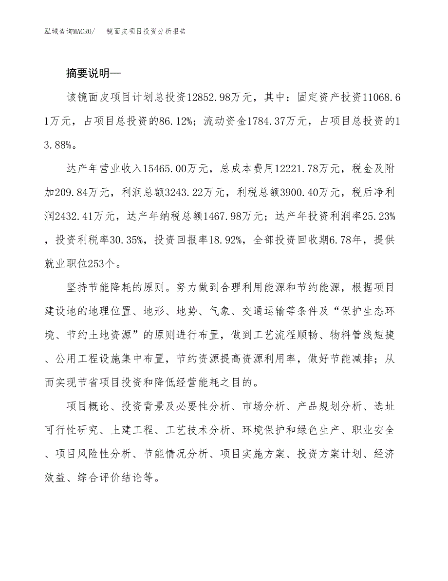 镜面皮项目投资分析报告(总投资13000万元)_第2页