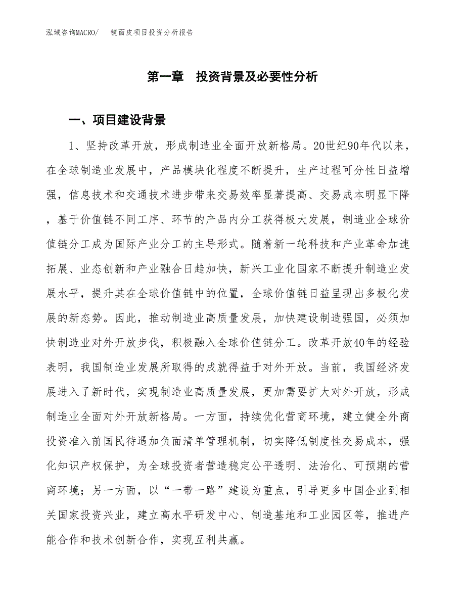 镜面皮项目投资分析报告(总投资13000万元)_第3页