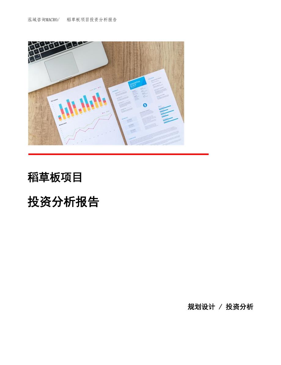 稻草板项目投资分析报告(总投资17000万元)_第1页