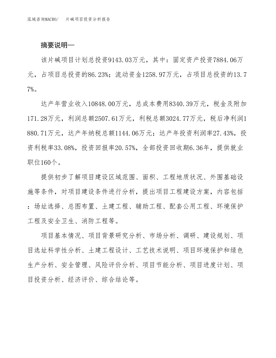 片碱项目投资分析报告(总投资9000万元)_第2页