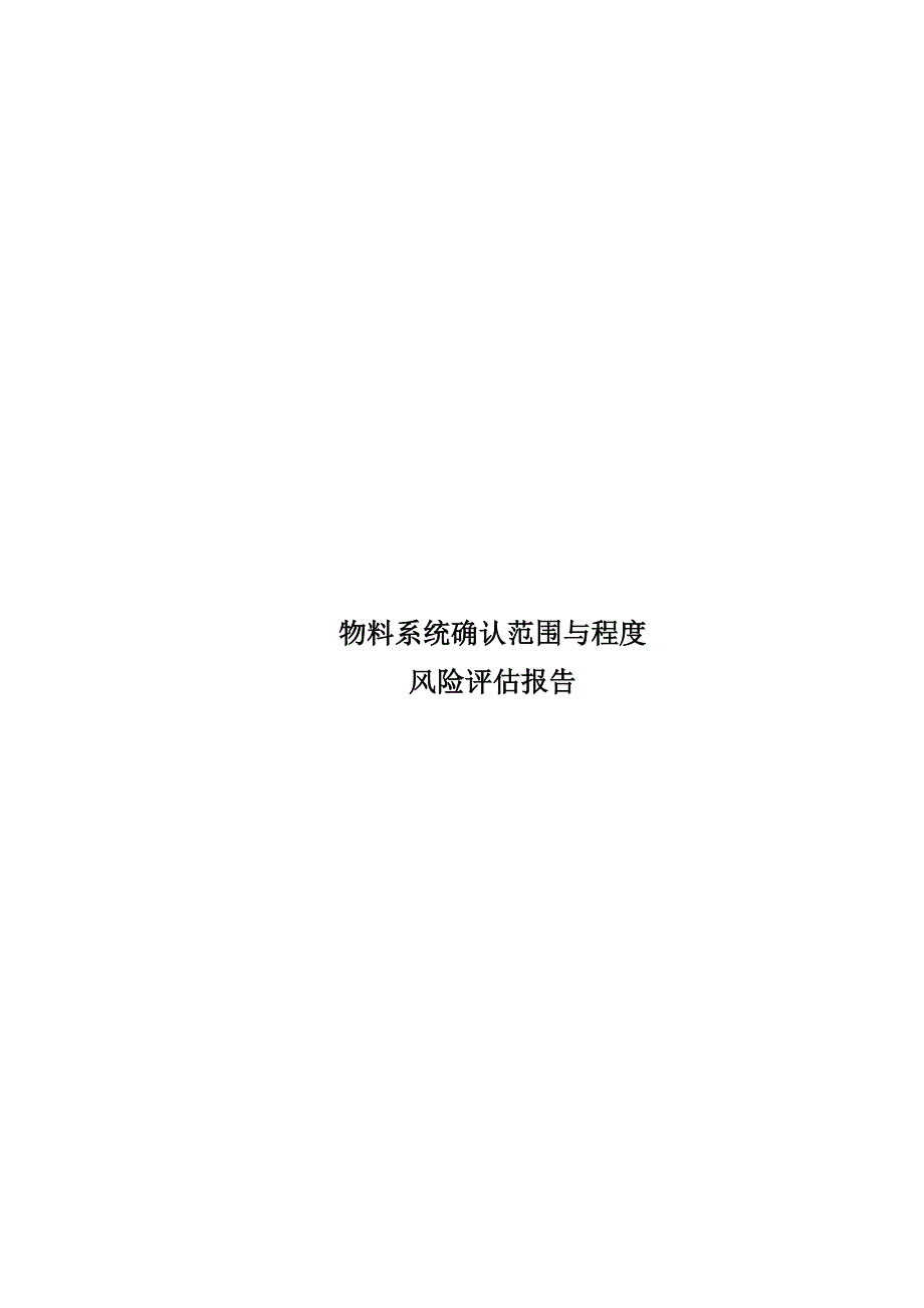 某某物料系统风险评估报告_第1页