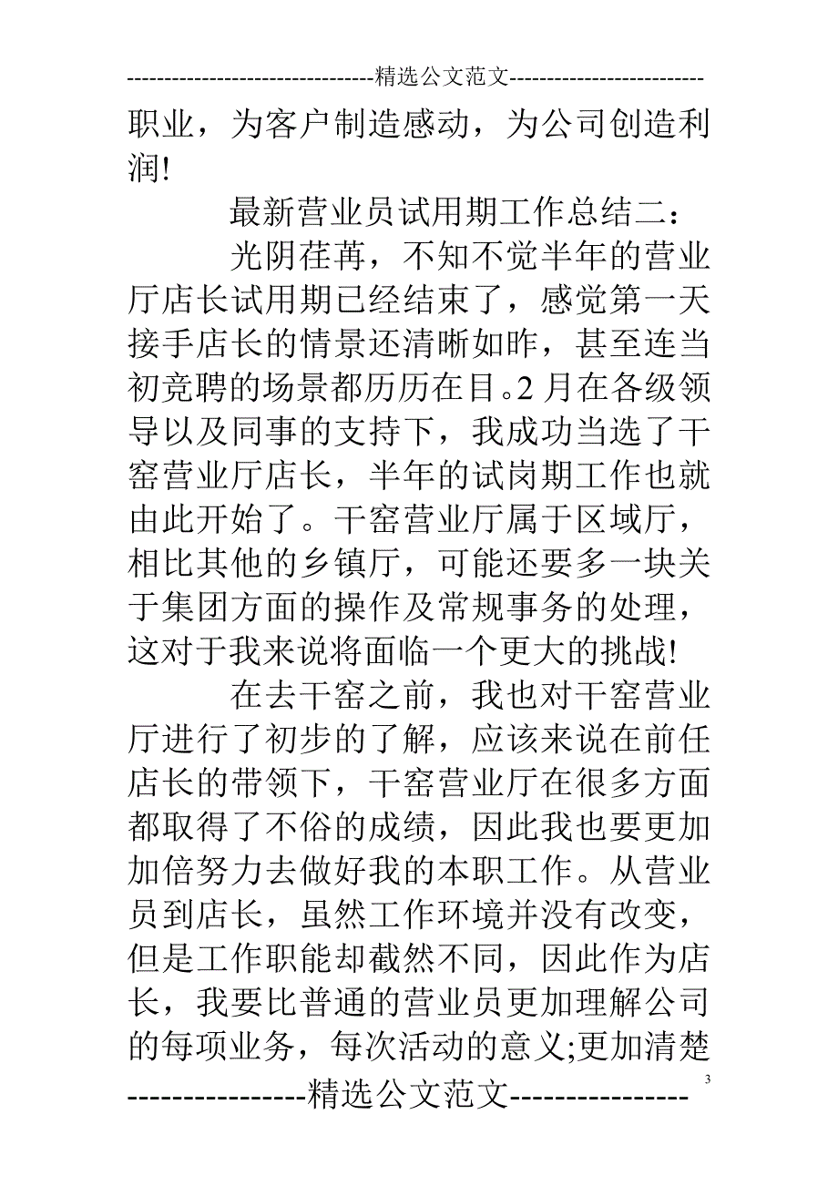 试用期工作总结销售_第3页