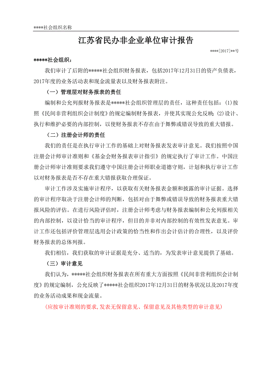 江苏民办非企业单位审计报告_第1页