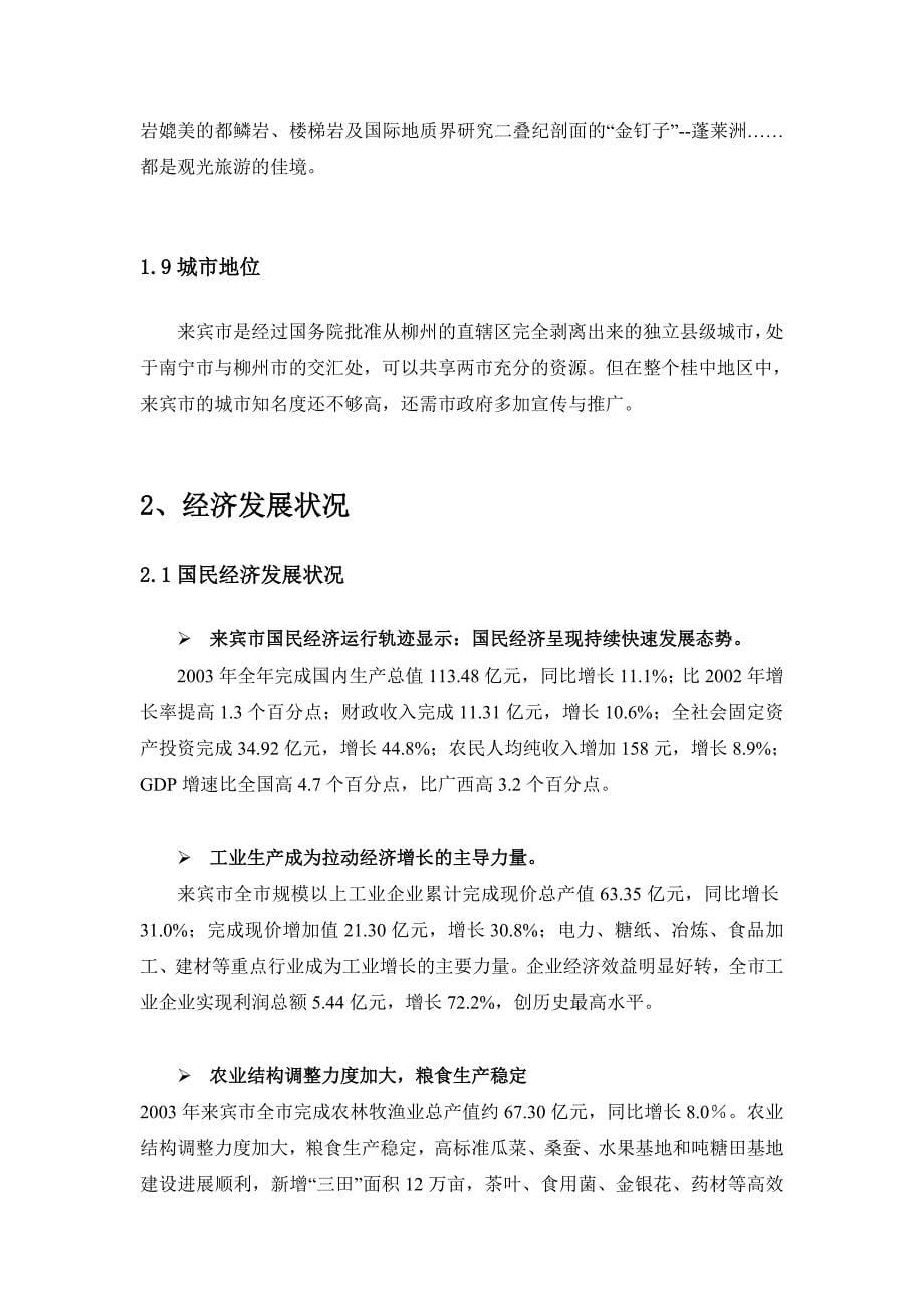 广西“桂中商贸城”前期策划报告分析_第5页