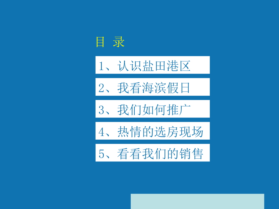 某地产项目营销总结报告书_第2页