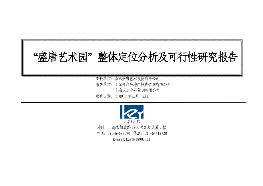 南京别墅项目开发定位分析_第1页