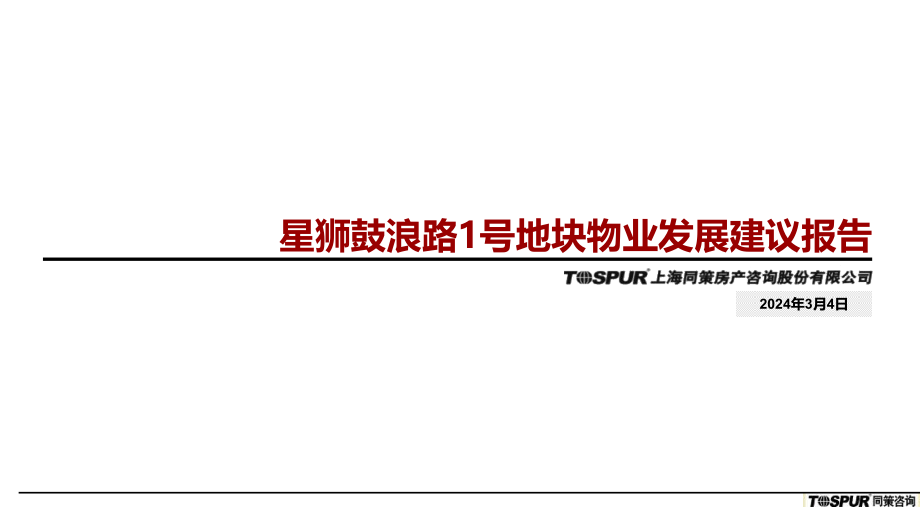 某地块物业发展建议报告_第1页