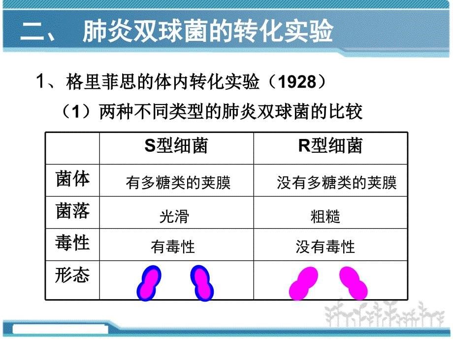 2015人教版高中生物必修二第三章第一节+DNA是主要的遗传物质(34张PPT)_第5页