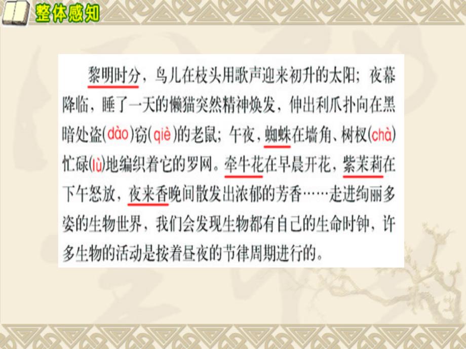 西师大版五年级语文下册有趣的生命时钟1课件_第4页