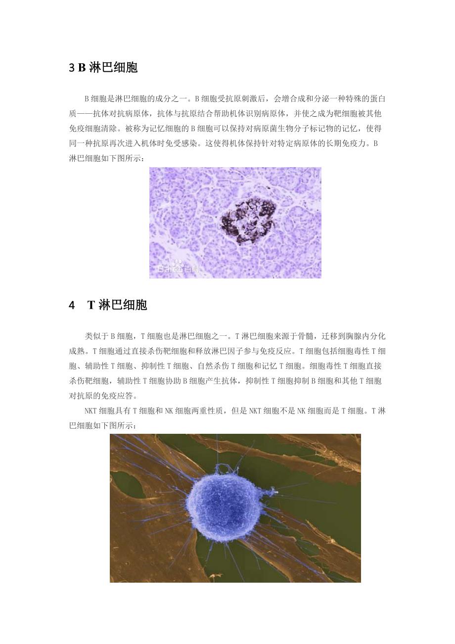 人体八种白细胞类型_第3页