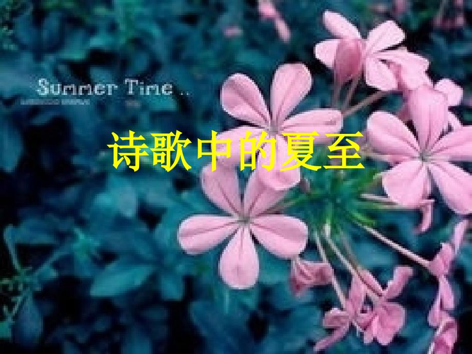 诗歌中的夏至_第1页