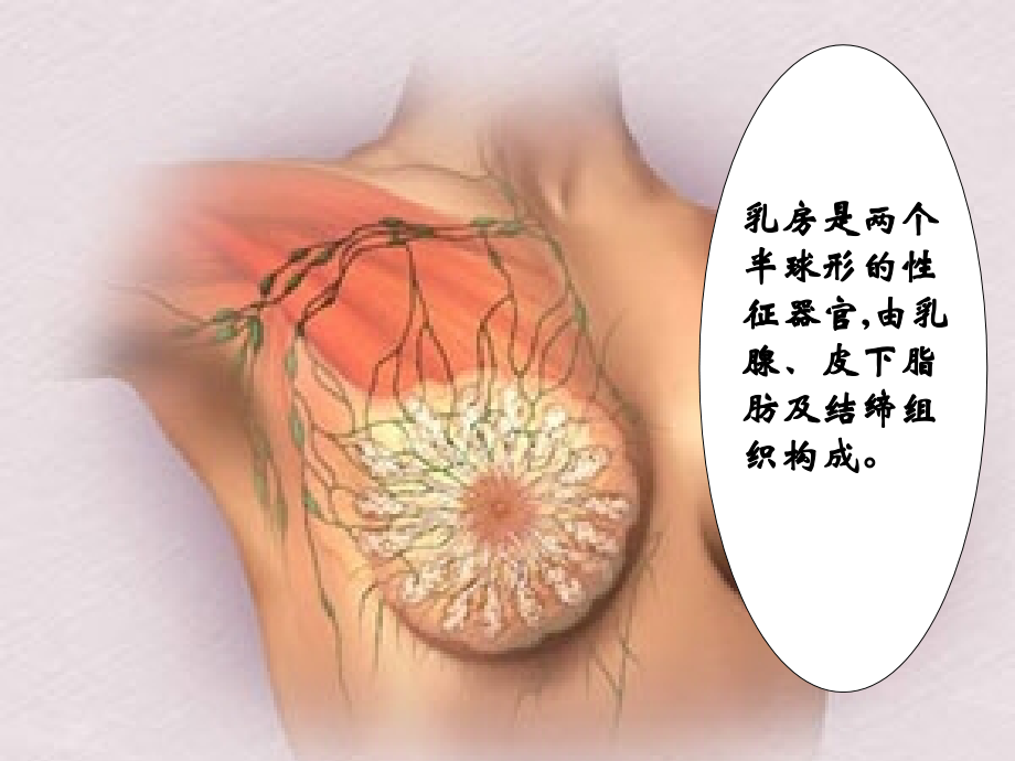 胸部疾病患者的护理5乳房疾病_第2页
