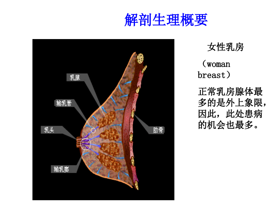 胸部疾病患者的护理5乳房疾病_第3页