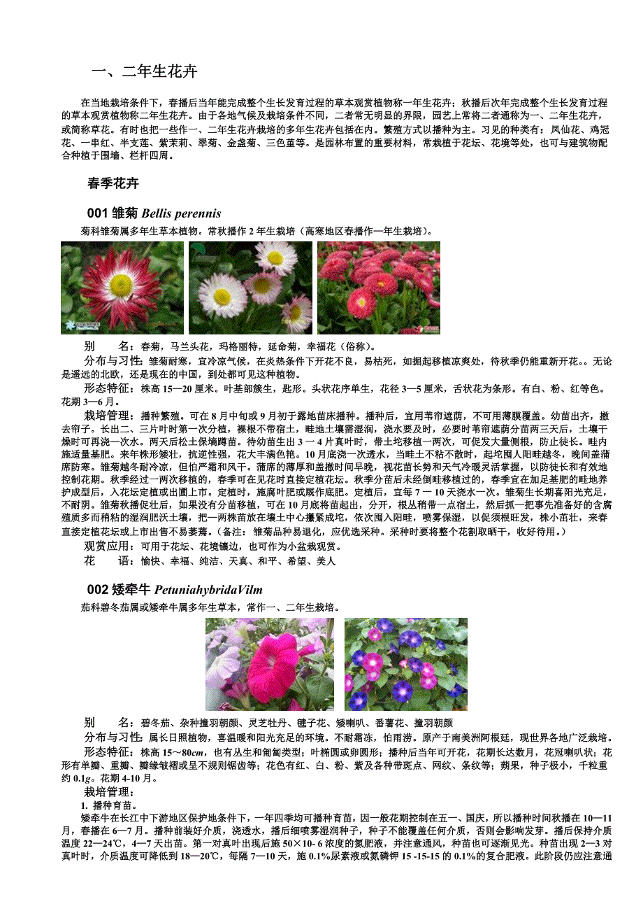 园林植物应用之花卉篇一二年生花卉_第1页