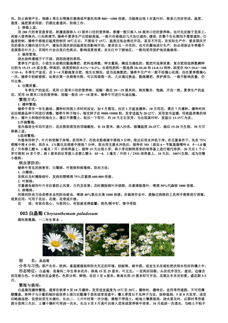 园林植物应用之花卉篇一二年生花卉_第2页