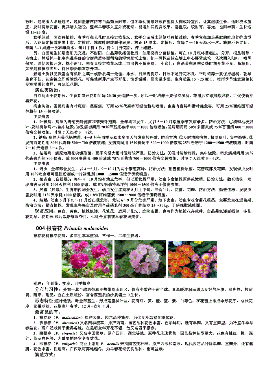 园林植物应用之花卉篇一二年生花卉_第3页