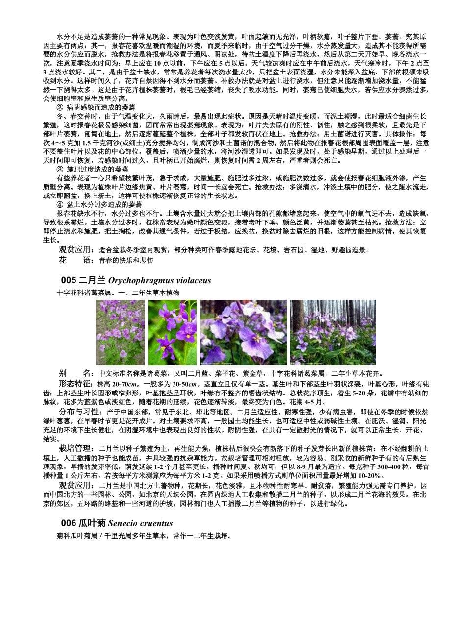 园林植物应用之花卉篇一二年生花卉_第5页