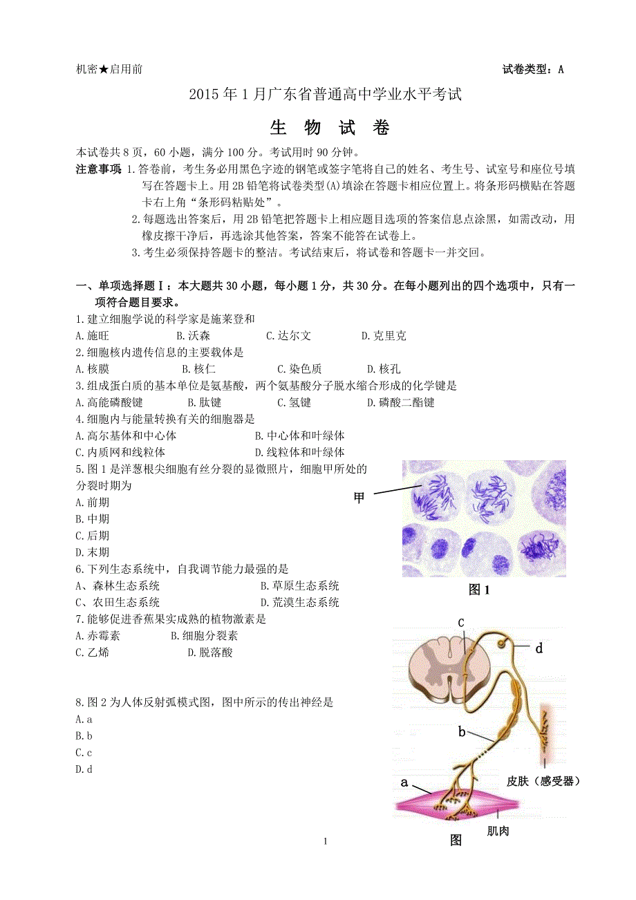 2015年1月广东省生物学业水平考试(手打版)_第1页