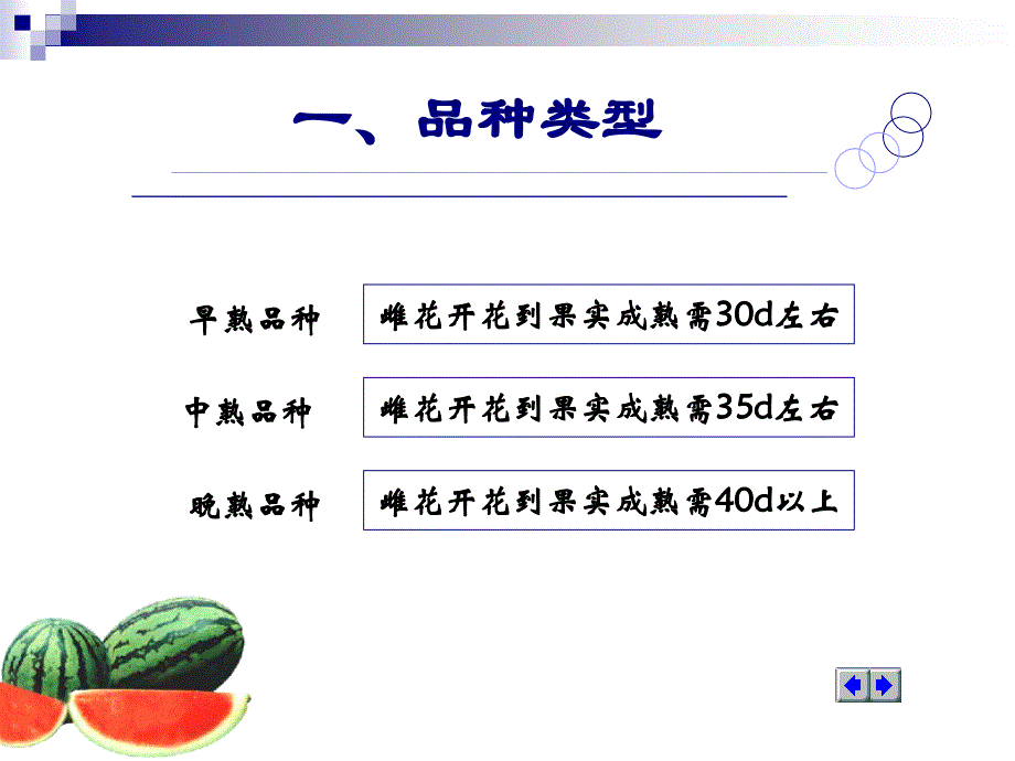 蔬菜栽培电子教案060403课件_第2页