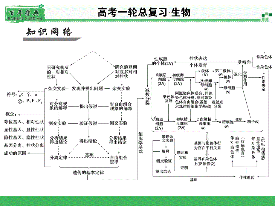 2015届名师面对面高考一轮生物总复习配套课件整合提升5章节_第2页