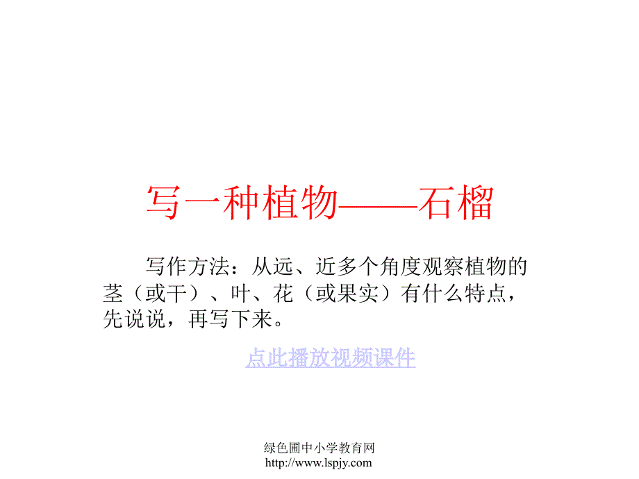 苏教版三年级上册语文石榴优秀课件苏教版三年级上册语文石榴优秀课件_第1页