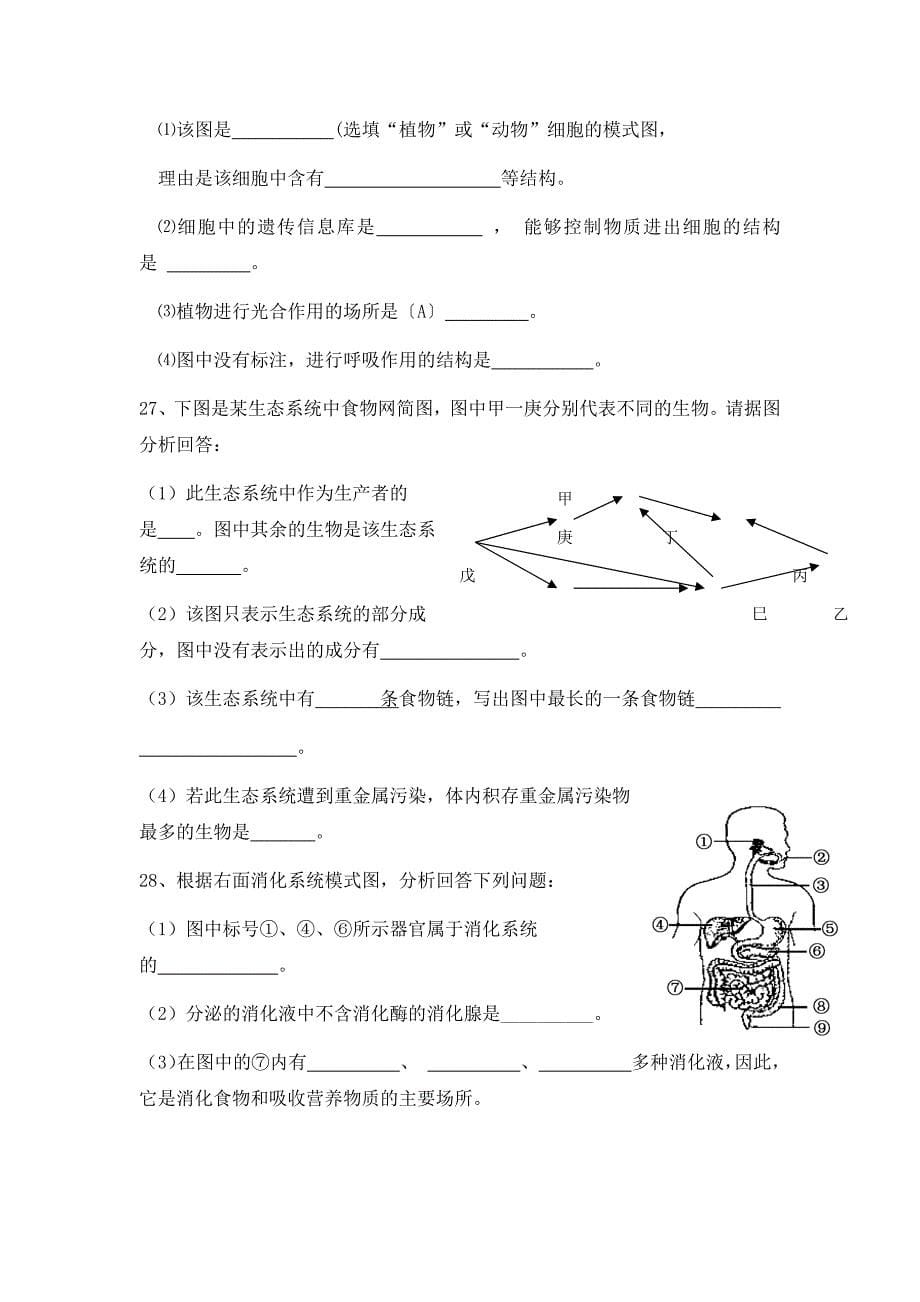 初中生物会考模拟_第5页