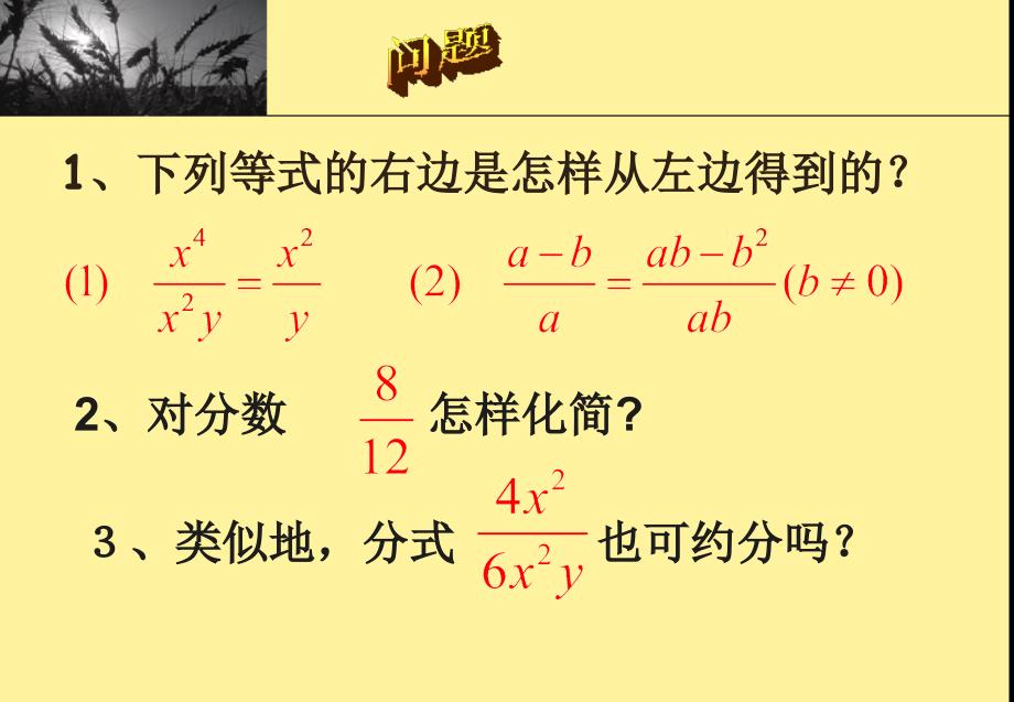 苏教版八年级数学下册8.2分式的基本性质课件8.2分式的基本性质2章节_第2页