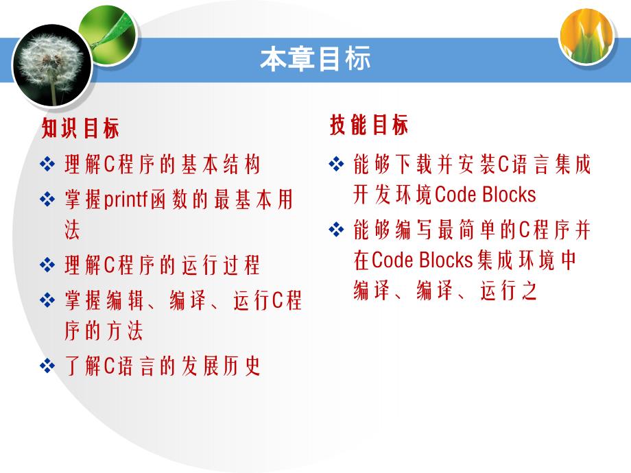 C程序设计教学课件第2章显示程序基本信息_第2页