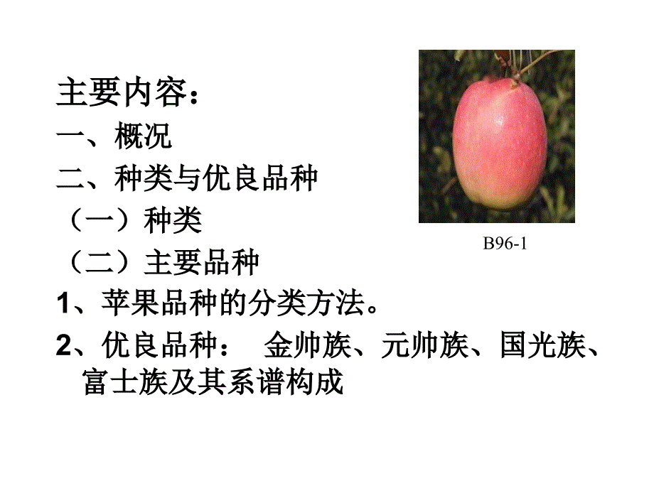 苹果品种课件_第2页