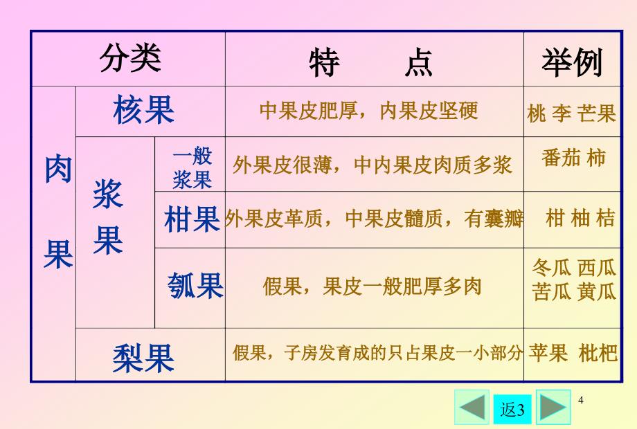 果实的种类_第4页