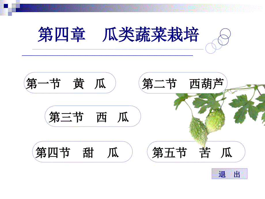 蔬菜栽培电子教案060400课件_第2页