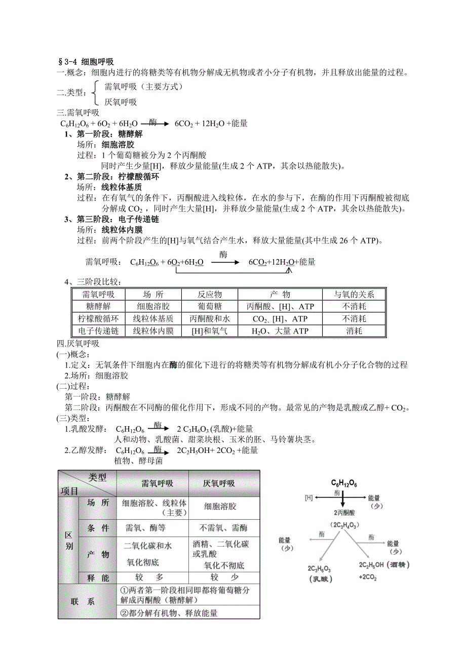 细胞代谢-知识整理总结_第3页