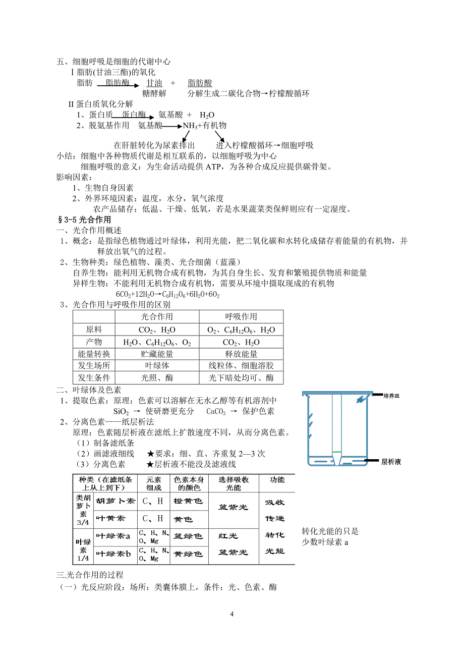 细胞代谢-知识整理总结_第4页