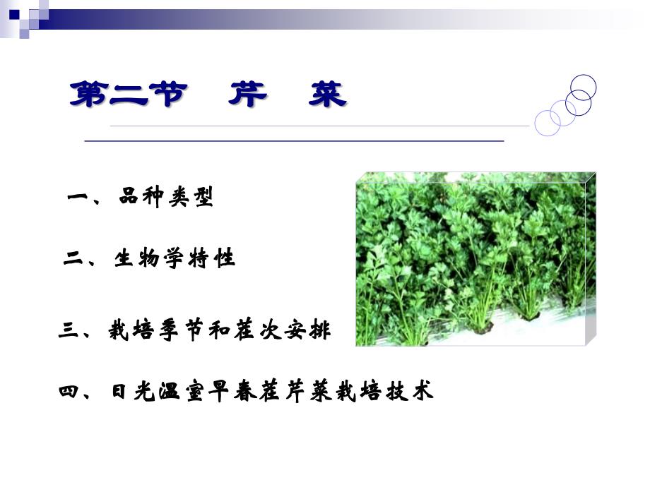 蔬菜生产技术设施蔬菜课件1101芹菜_第1页