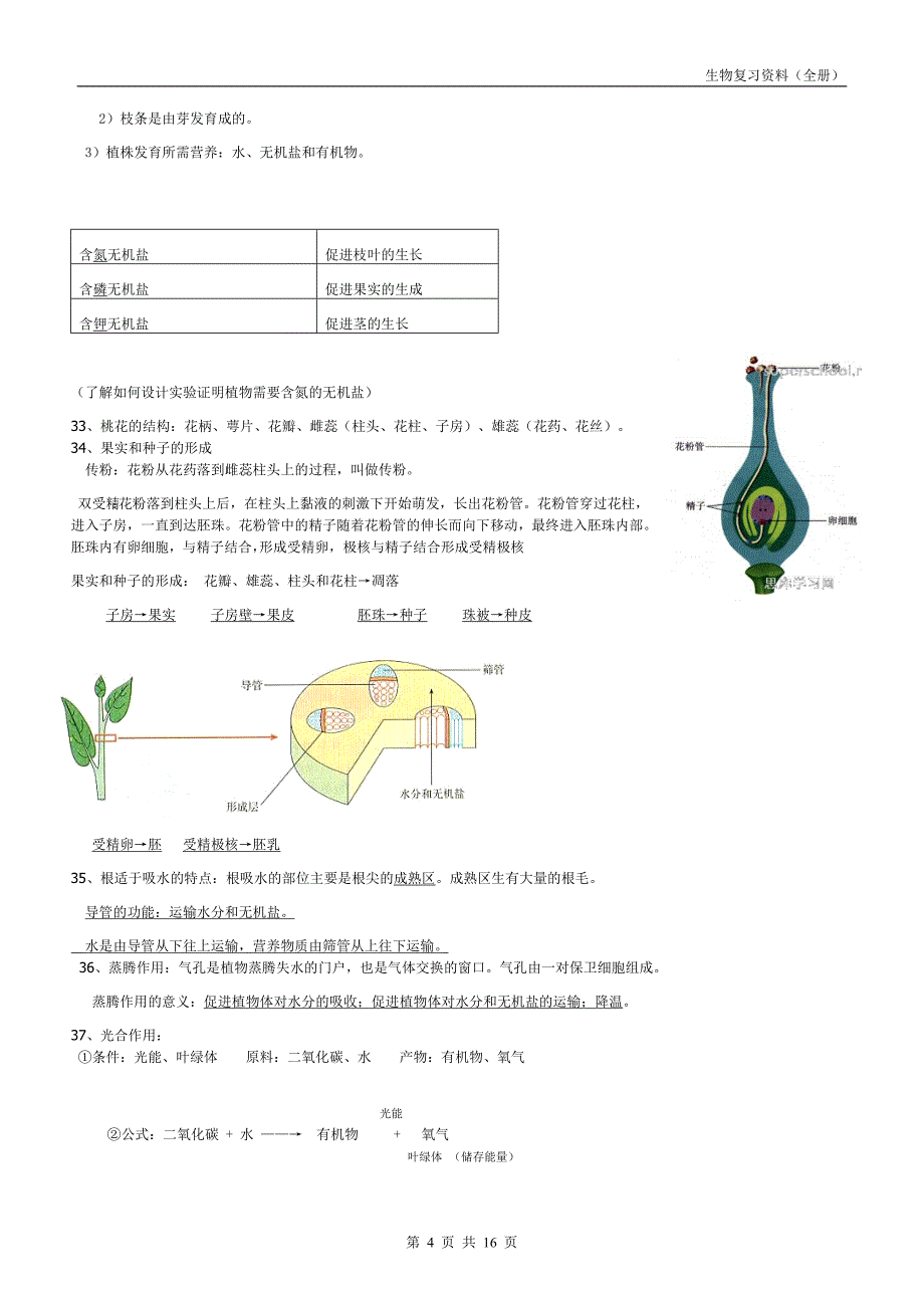 中考生物资料(含彩色图片-精心整理)_第4页