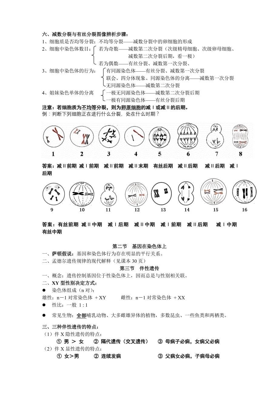 新高中生物必修二知识点总结人教版复习提纲_第5页