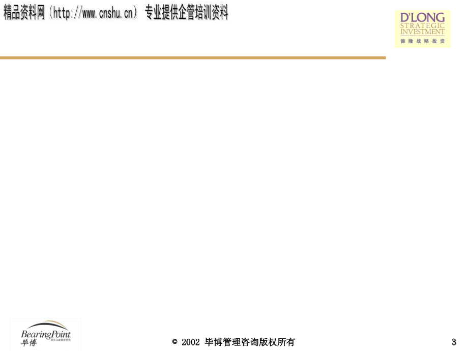 某公司战略投资及财务管理系统成功因素_第3页