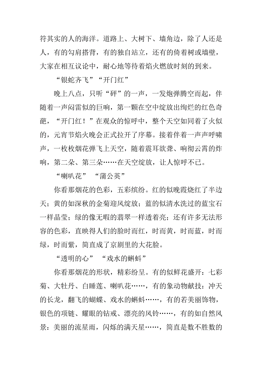 快乐寒假感受幸福之焰火晚会作文_第2页