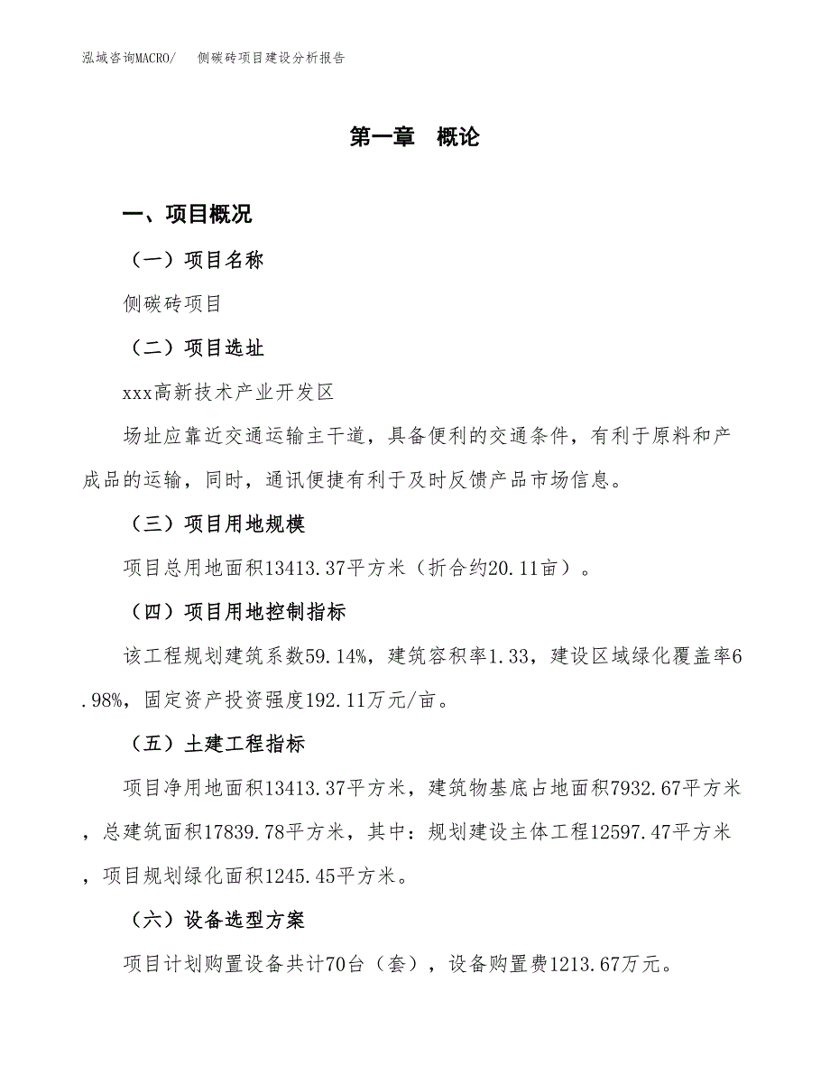 侧碳砖项目建设分析报告(总投资5000万元)_第1页