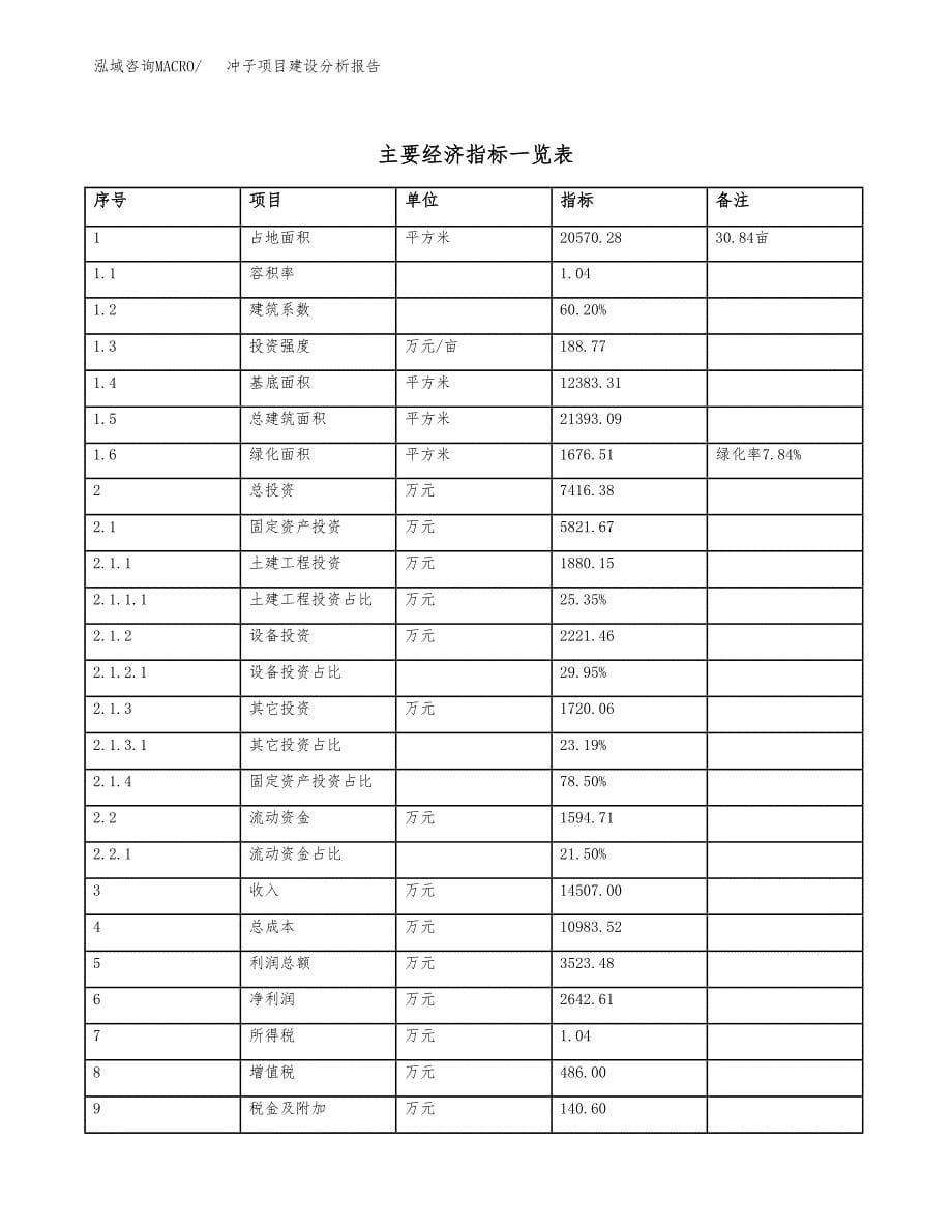 冲子项目建设分析报告(总投资7000万元)_第5页