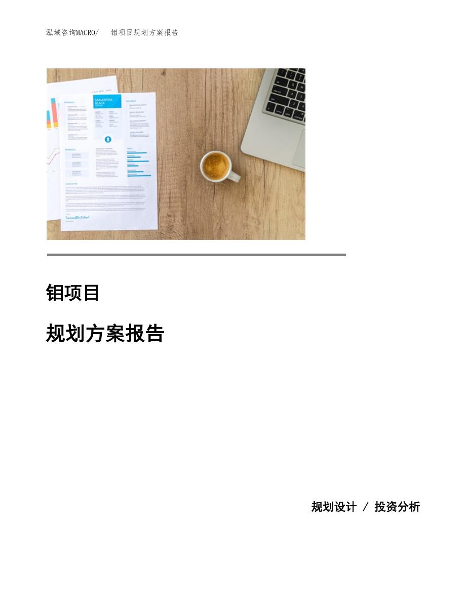钼项目规划方案报告(总投资6000万元)_第1页