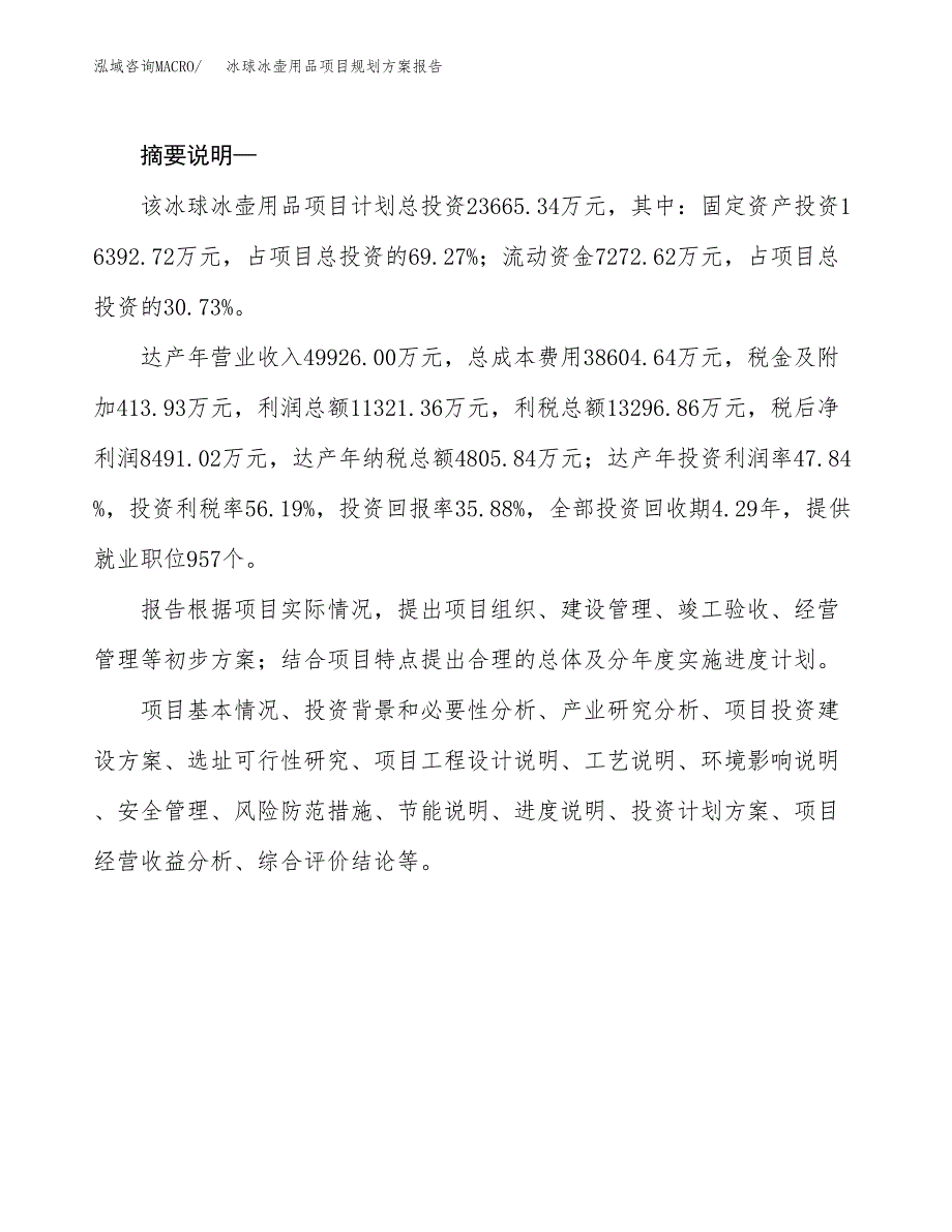 冰球冰壶用品项目规划方案报告(总投资24000万元)_第2页