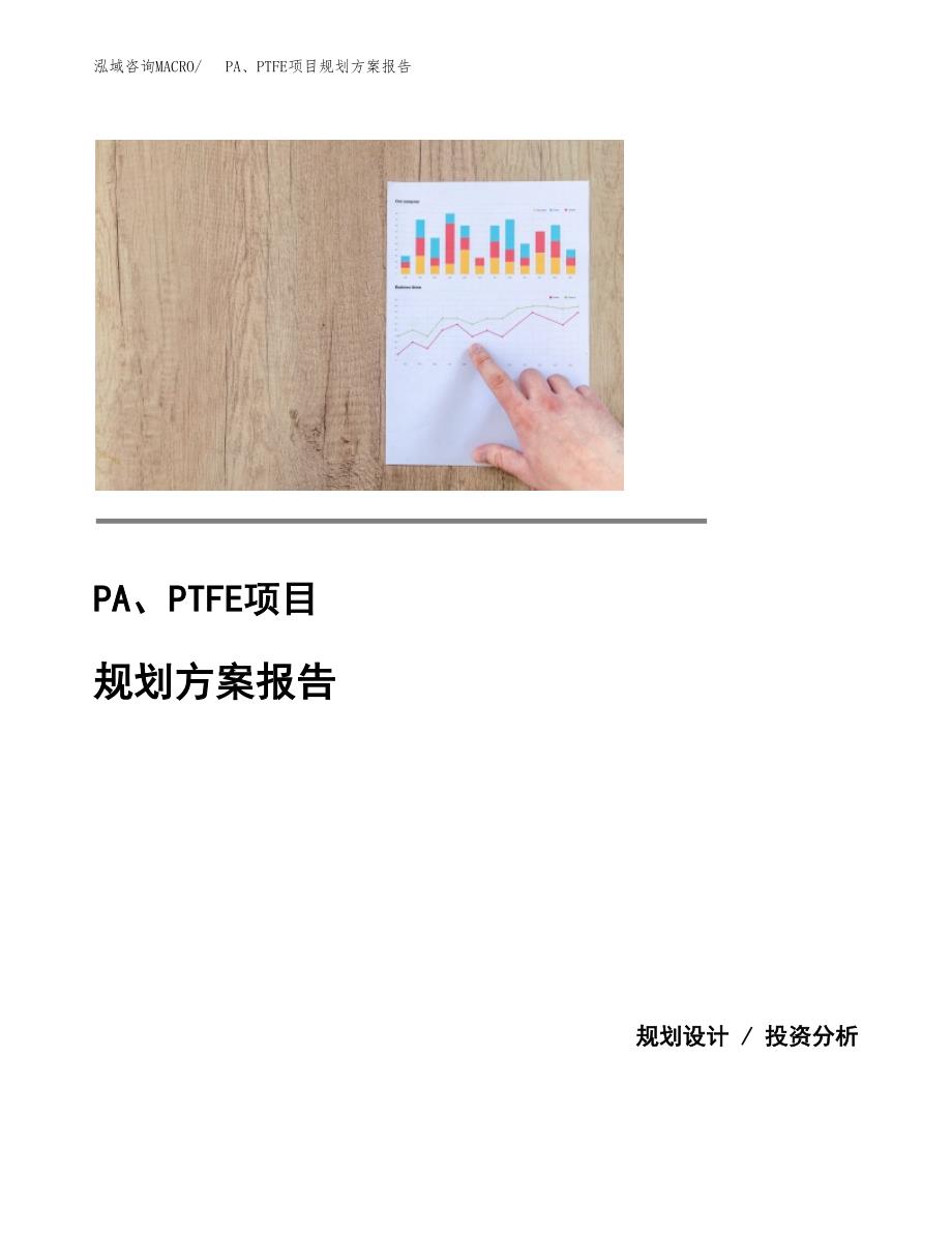 PA、PTFE项目规划方案报告(总投资4000万元)_第1页