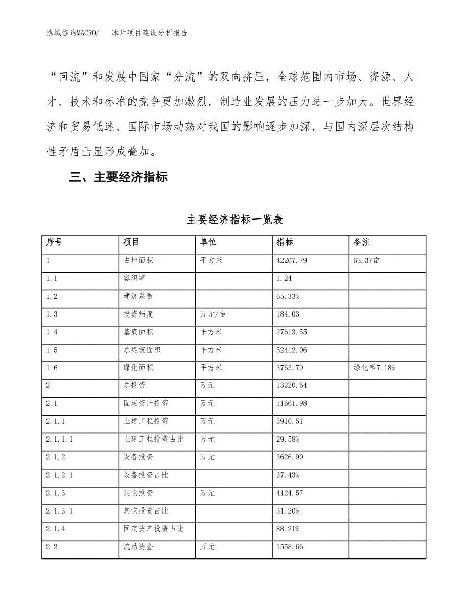 冰片项目建设分析报告(总投资13000万元)_第5页