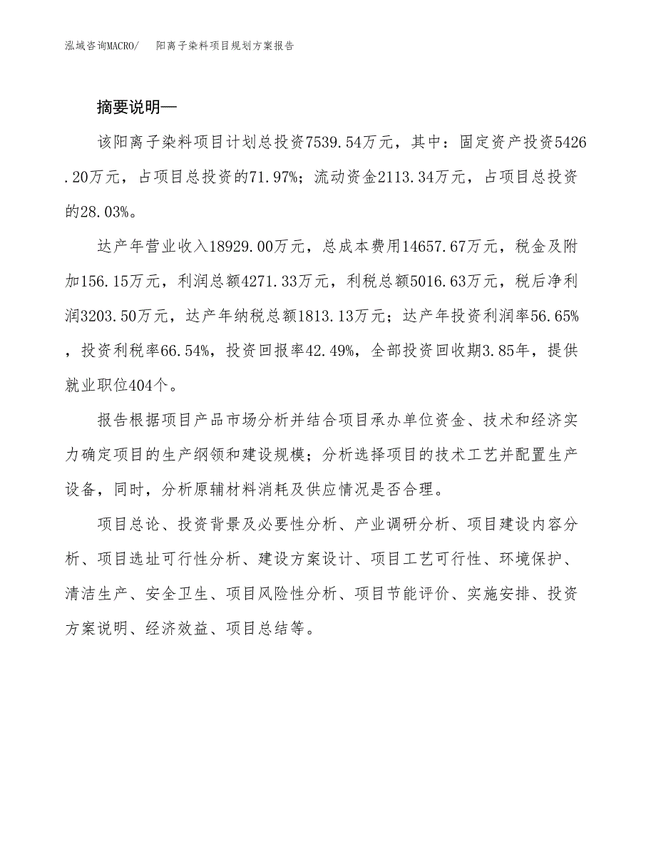 阳离子染料项目规划方案报告(总投资8000万元)_第2页