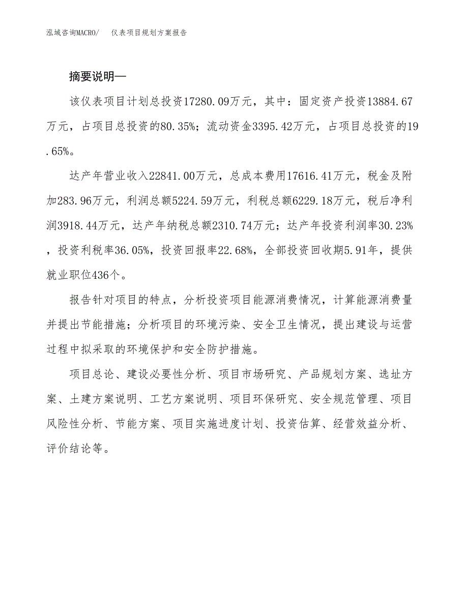 仪表项目规划方案报告(总投资17000万元)_第2页