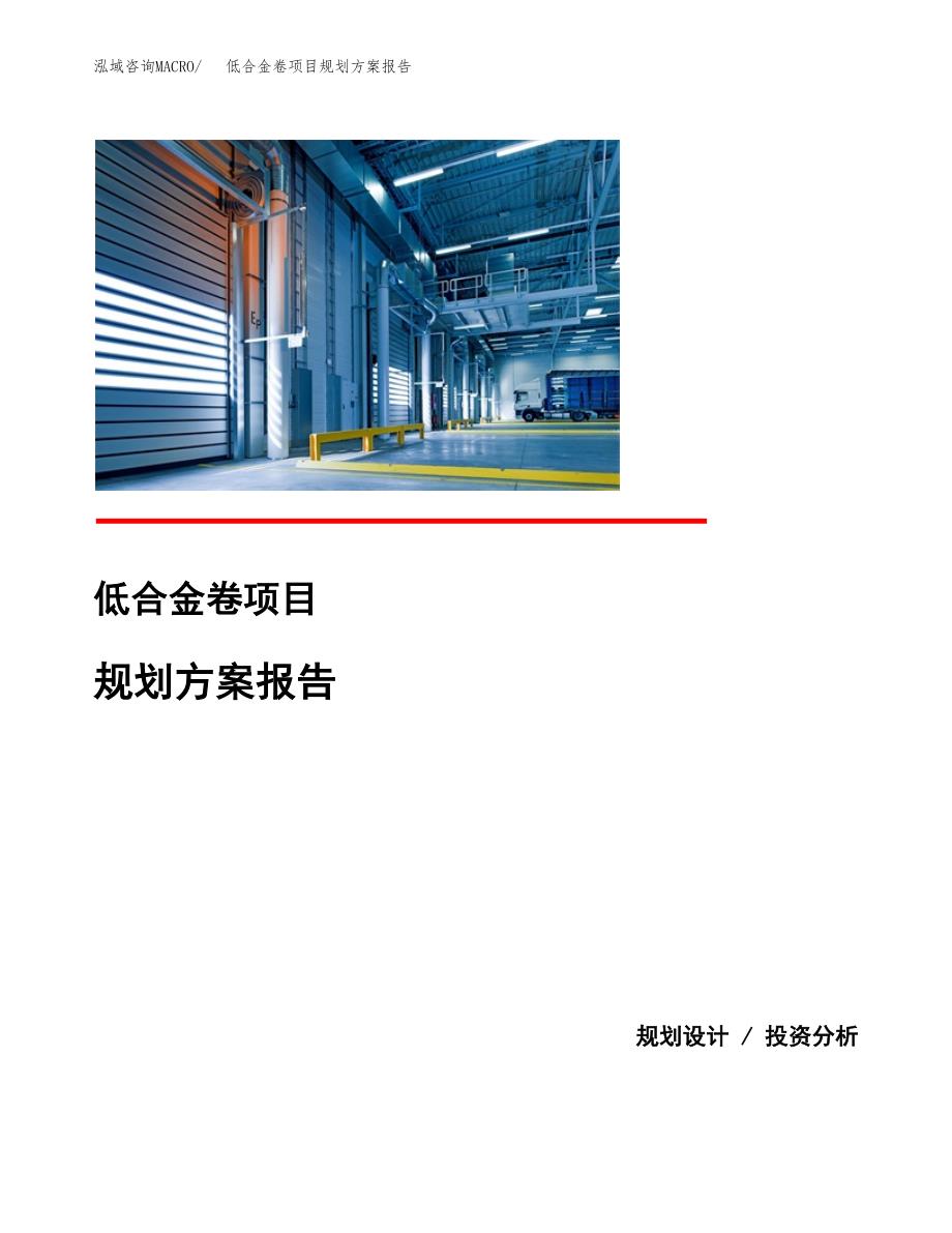 低合金卷项目规划方案报告(总投资19000万元)_第1页