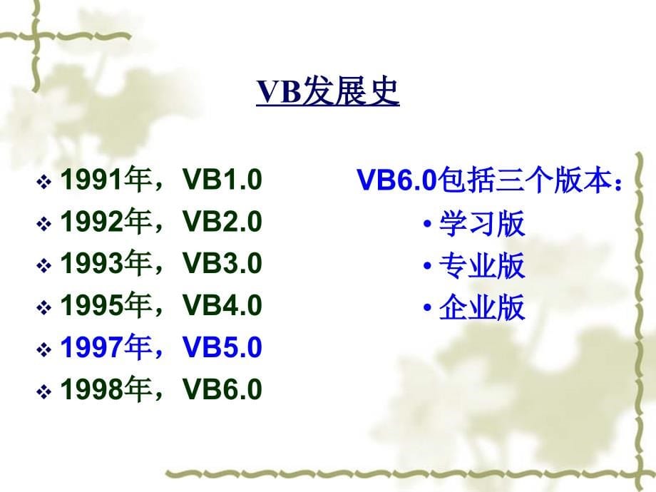 VB课件杨潇第一章&第二章_第5页