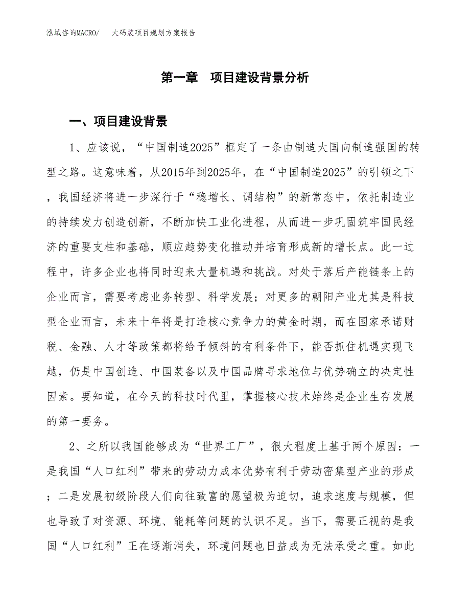 大码装项目规划方案报告(总投资8000万元)_第3页