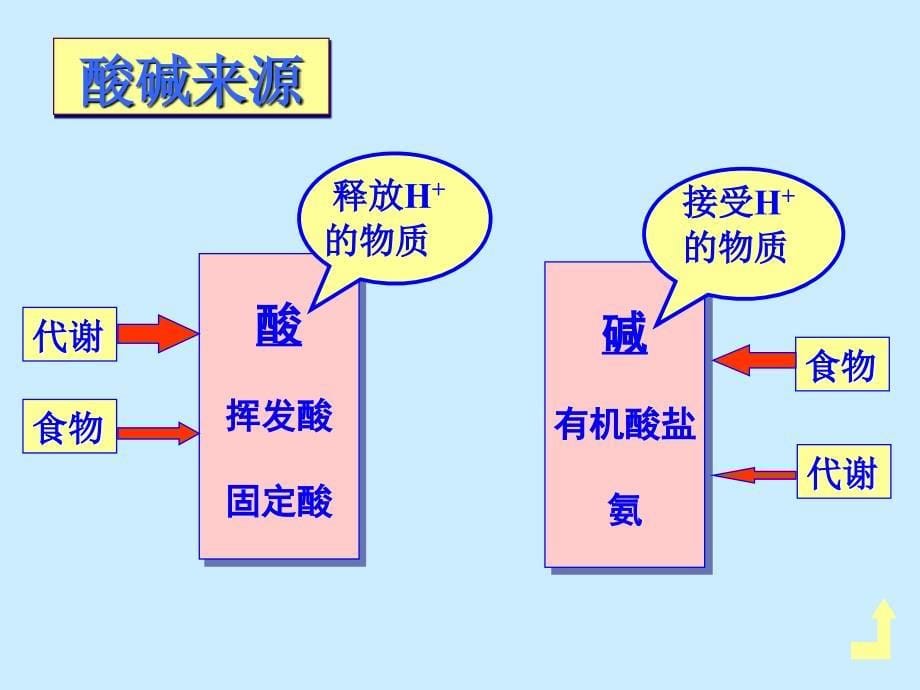 酸碱平衡.ppt.ppt_第5页